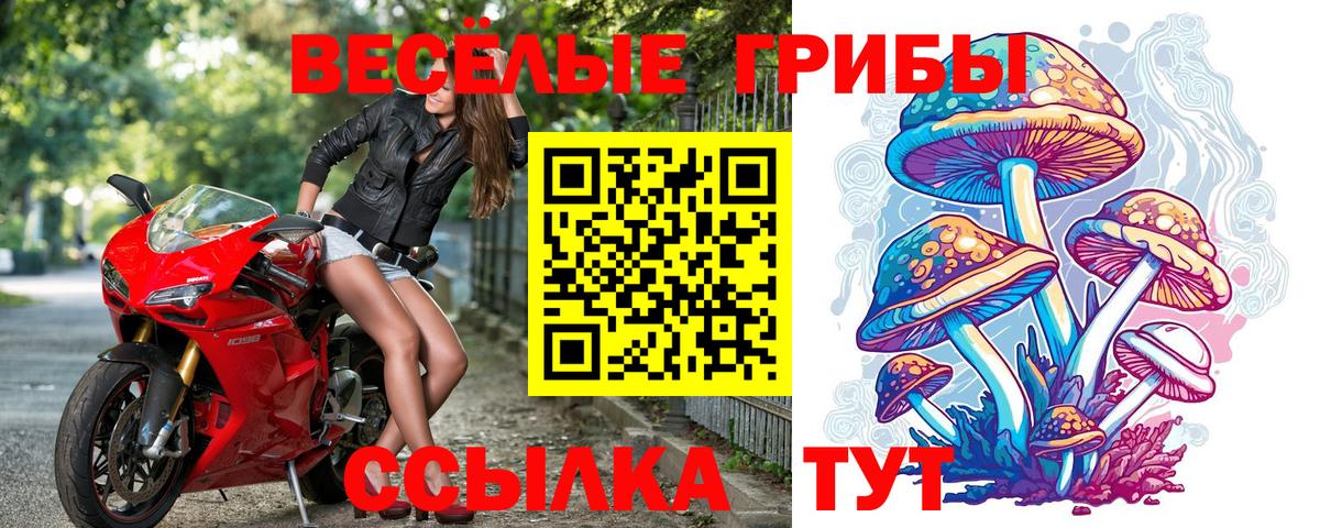 Псилоцибиновые грибы GOLDEN TEACHER Оренбург